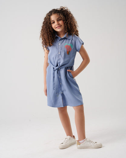 Waist Strip Dress