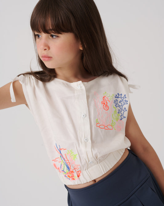 Embroidered blouse