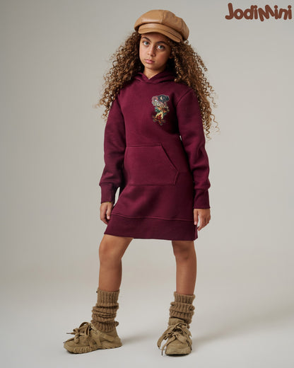 Little Hoodie Dress