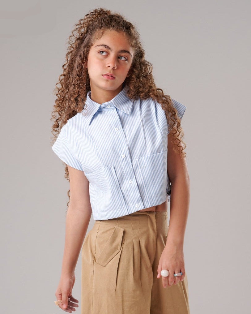 Casual Crop Blouse